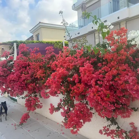 民宿 Sea Flowers Village *