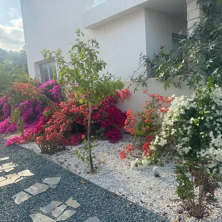Sea Flowers Village Kwatera prywatna *