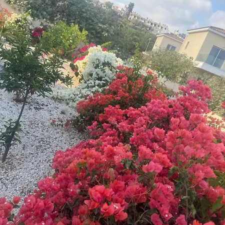 Sea Flowers Village Gazde/Camere de închiriat